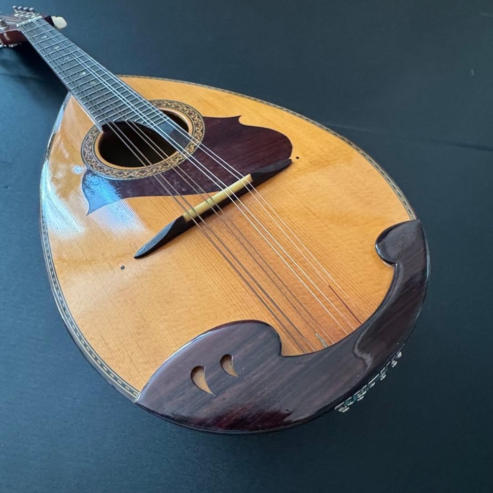 [Hard case ] SUZUKI Mandolin M-215