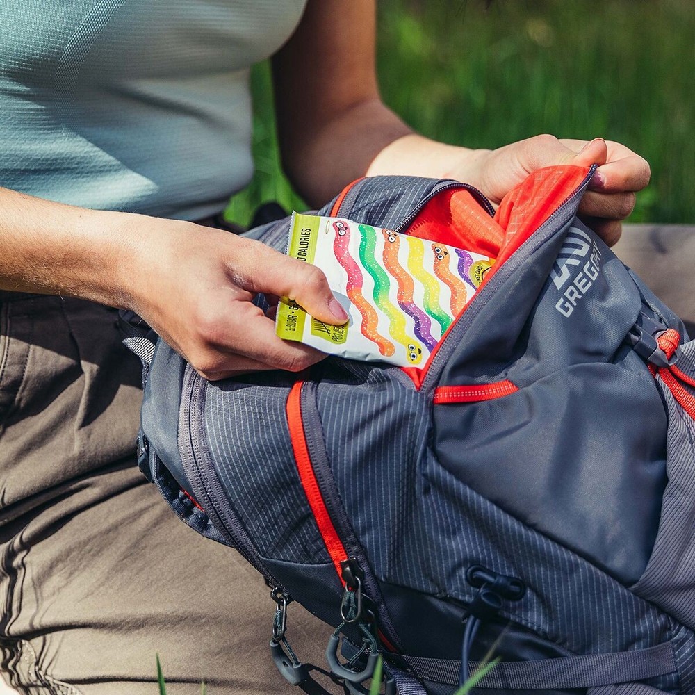 Gregory Maya 25L Daypack