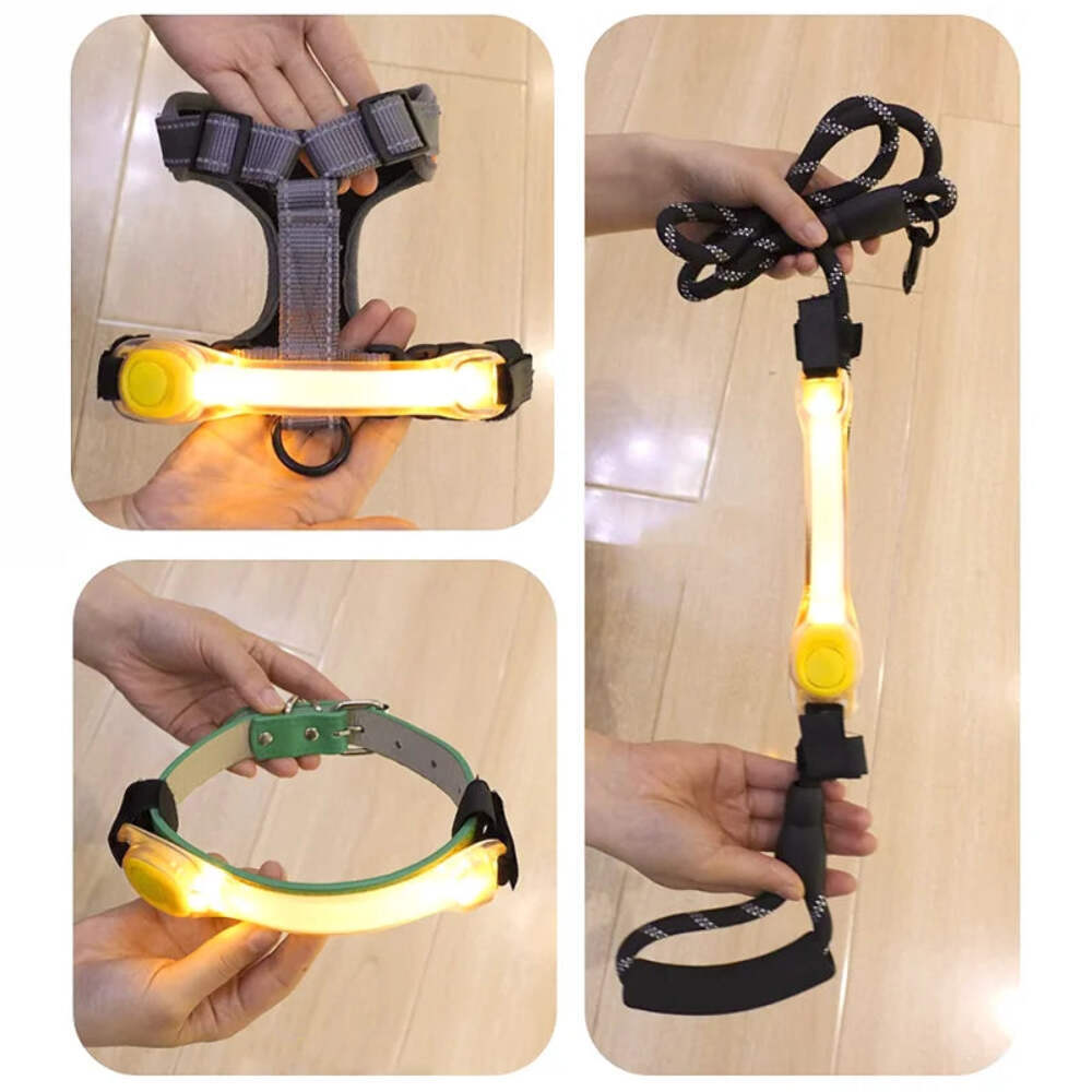Dog Anti Lost Collar