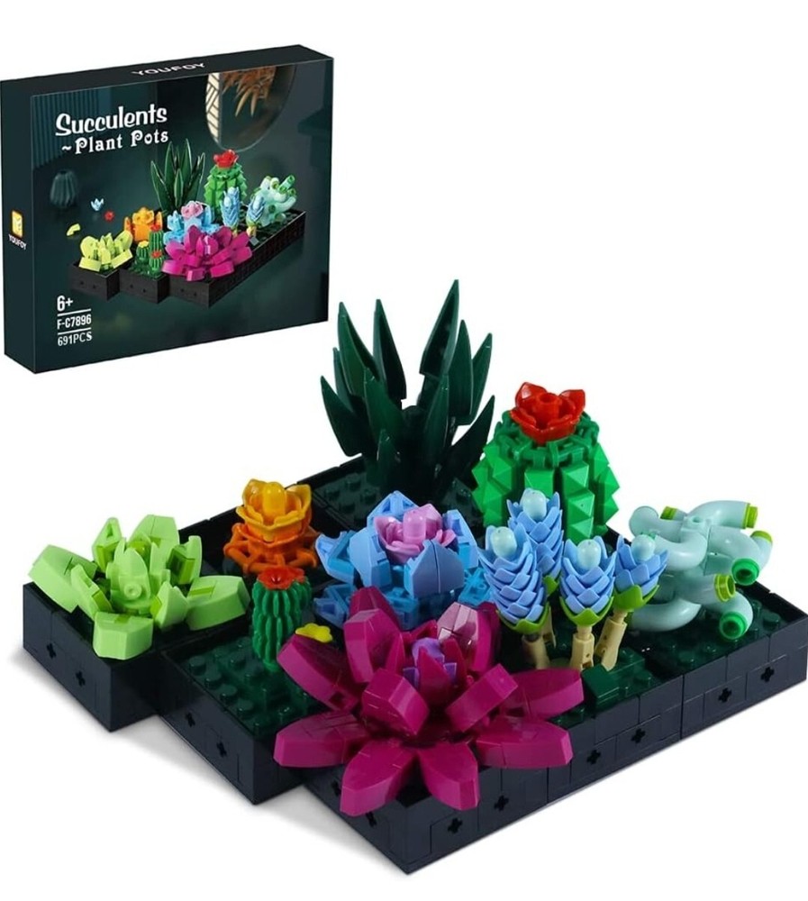 Succulent Bonsai Building Kit,
