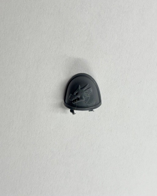 Warhammer 40k Space Marines Salamanders Upgrade Sprue BITS Multi Listing