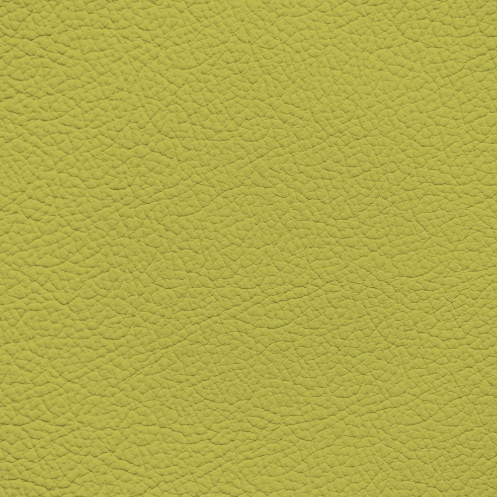 BMW Pale Yellow Leather Dye