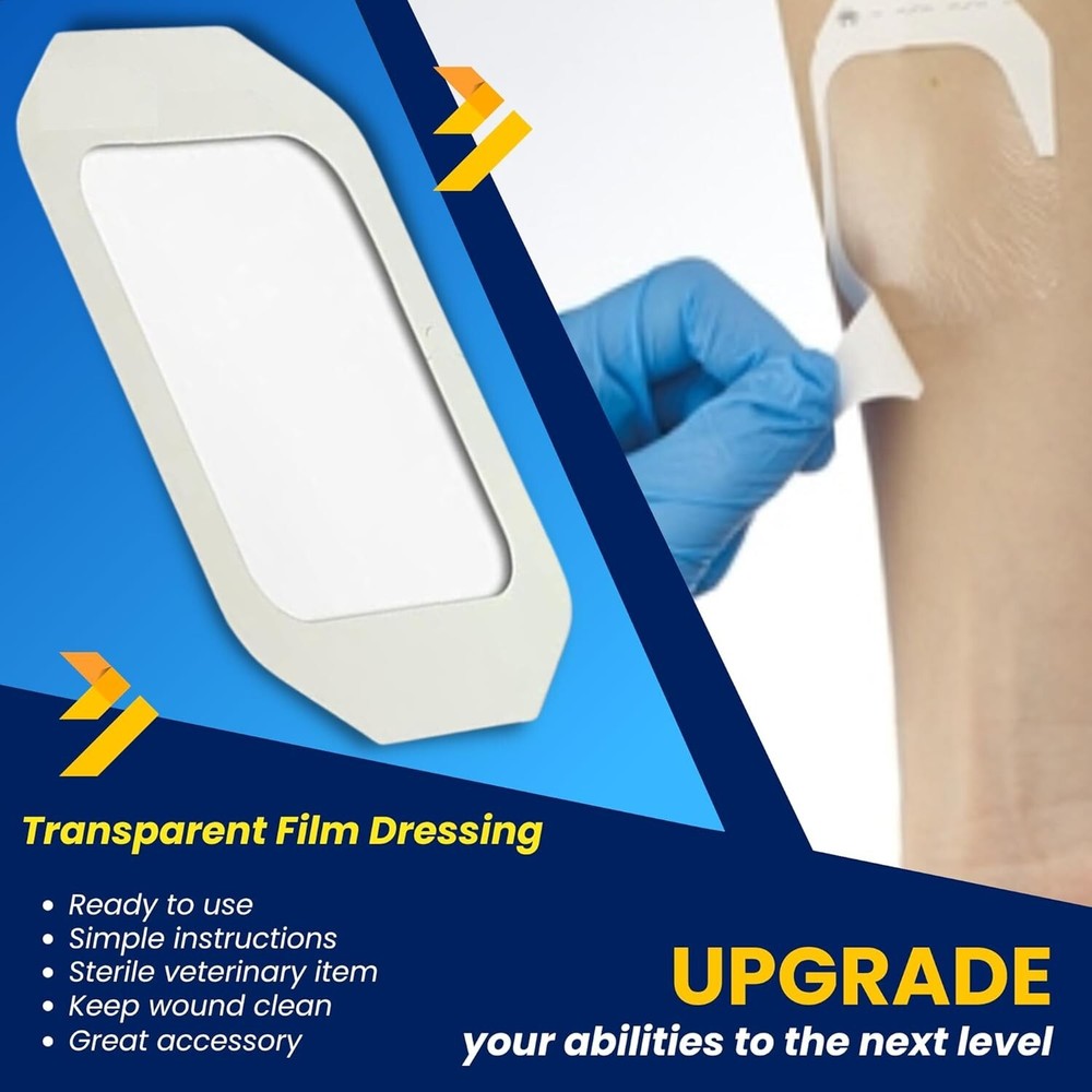 Suture Thread & Instrument Kit - Essential for First Aid & Veterinary Training