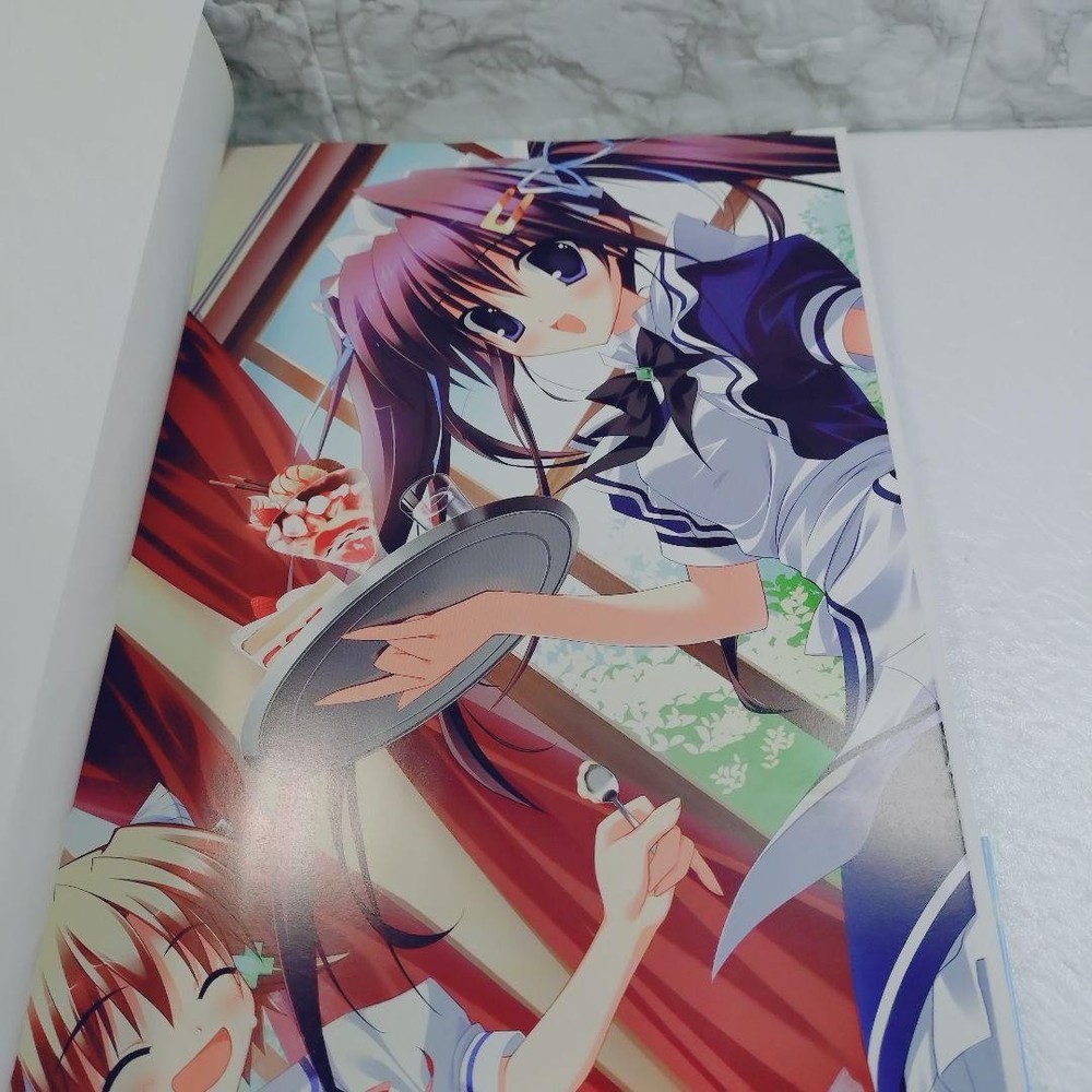 [Good Condition] Clear-Visual Fan Book