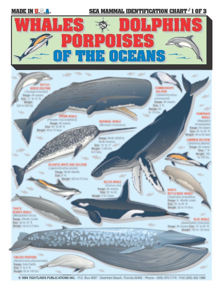 Fishermen's Saltwater Fish Identification Set - Waterproof Quick Reference Guide