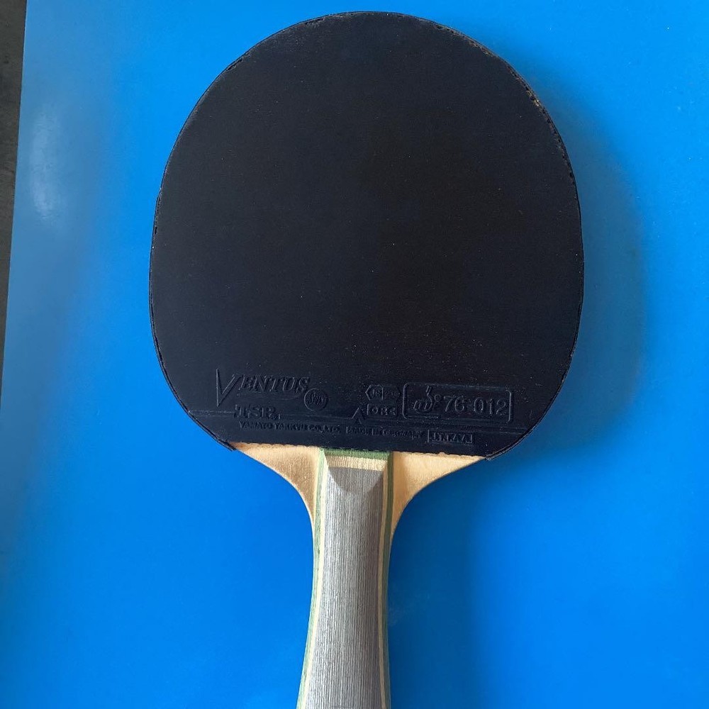 Table Racket Nittaku Leaves