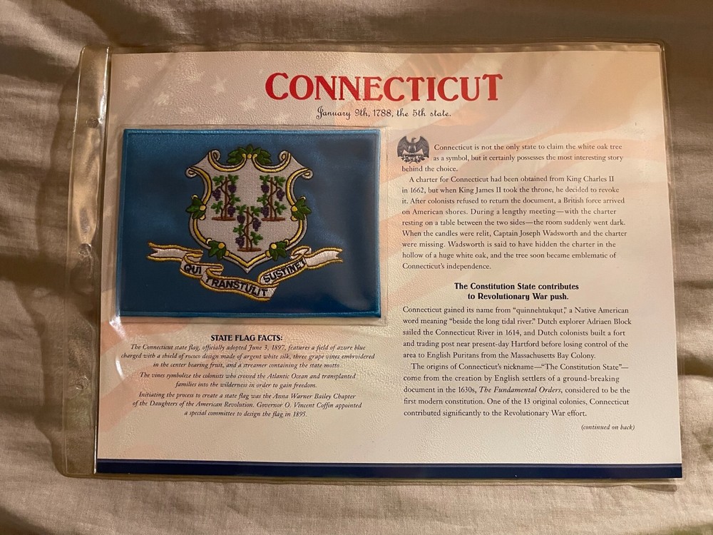 WILLABEE & WARD FLAG PATCH PANE ****CONNECTICUT