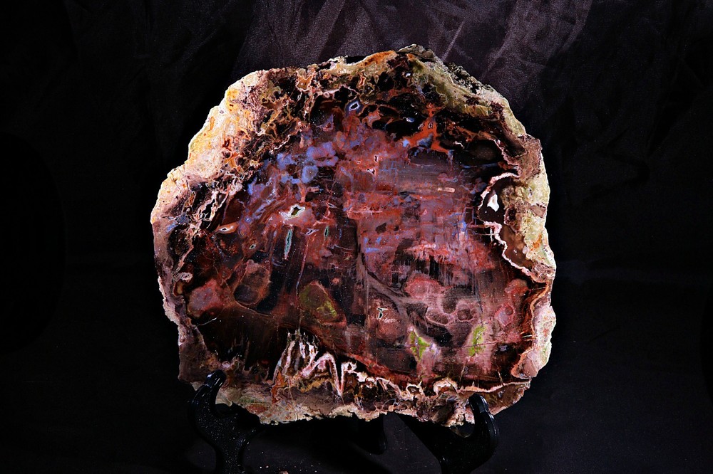 Turkish Colla Wood