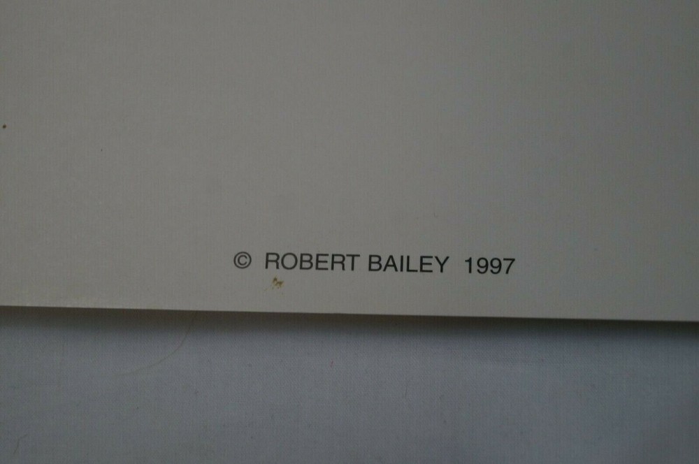 WW2 US USN Navy Avenging Strike Doolittle Raid Robert Bailey Signed Print