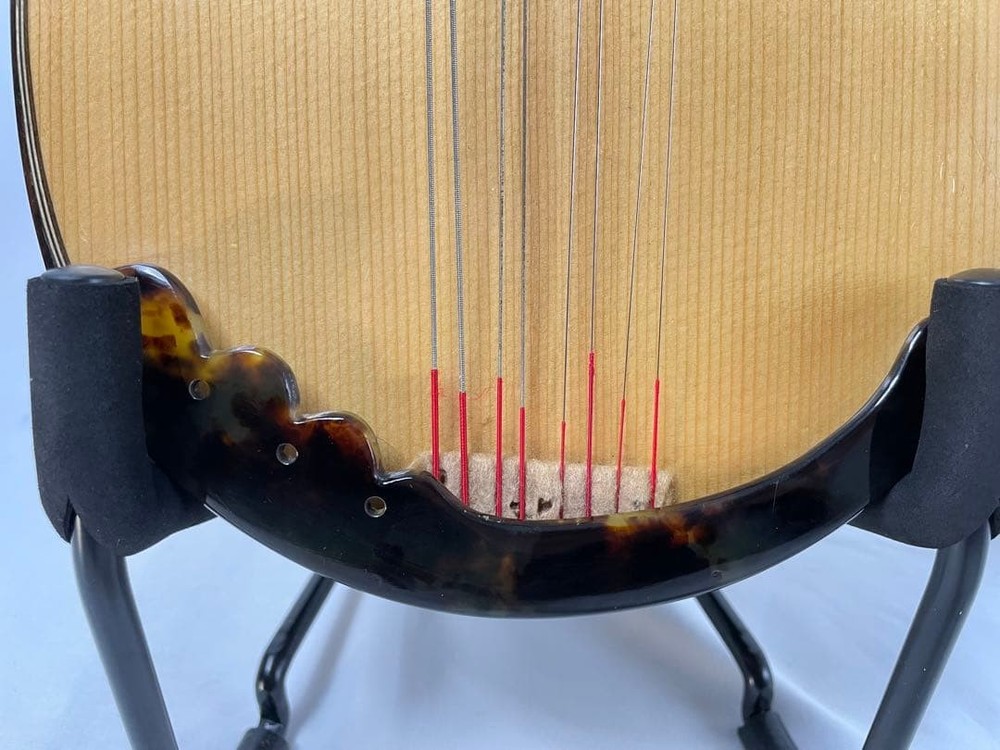 Watanabe/Watanabe High-end mandolin