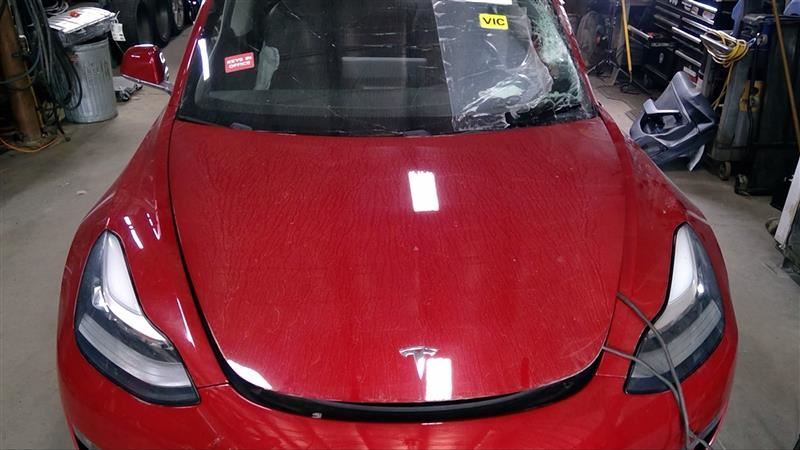 TESLA 3 2018 FRONT PERPENDICULAR RADAR/Projector 1447827
