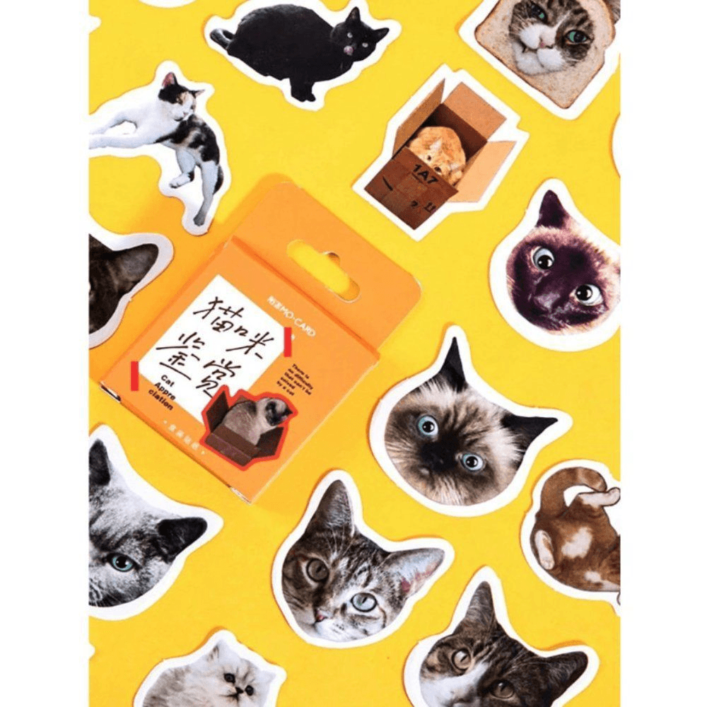 46pcs Cat Print Stickers