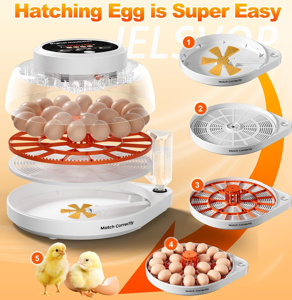 Upgraded Egg Incubator for Hatching Eggs, 12 Egg Capacity with Automatic Egg Tur