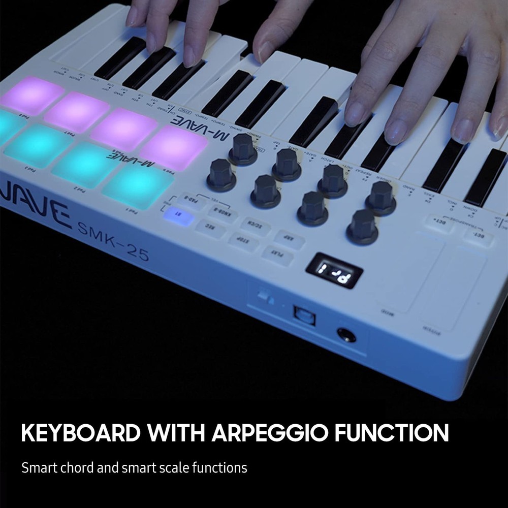 25-Key MIDI Control Keyboard Mini Portable USB Keyboard MIDI Controller with ...