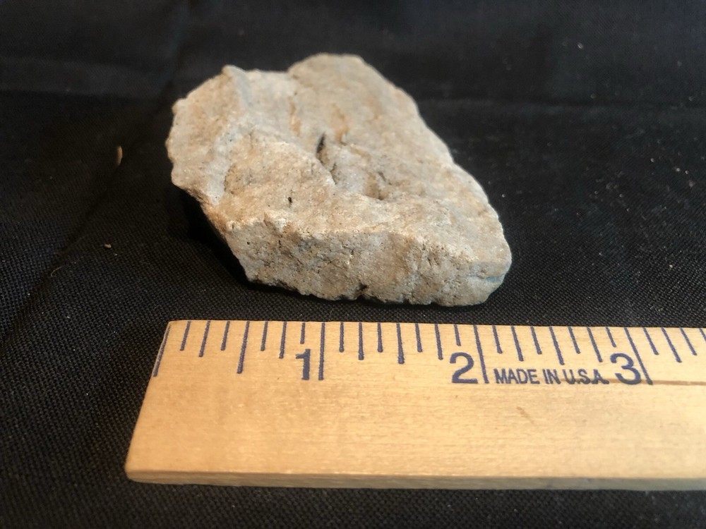 Fossils From West Virginia Mountain