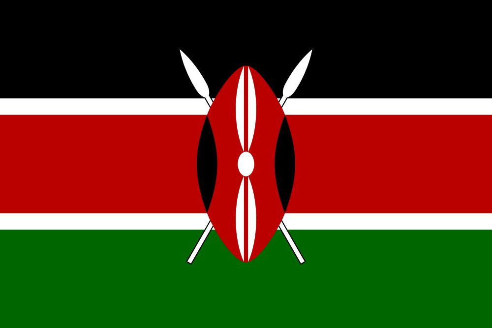 Learn Swahili Fast -The Most Complete & Comprehensive Language Course on USB