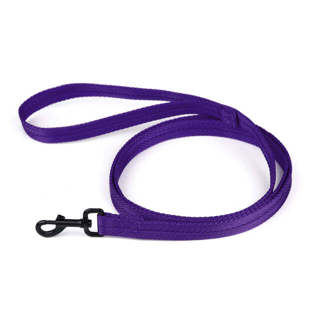Nylon Leash 5/8" X 6ft Purple