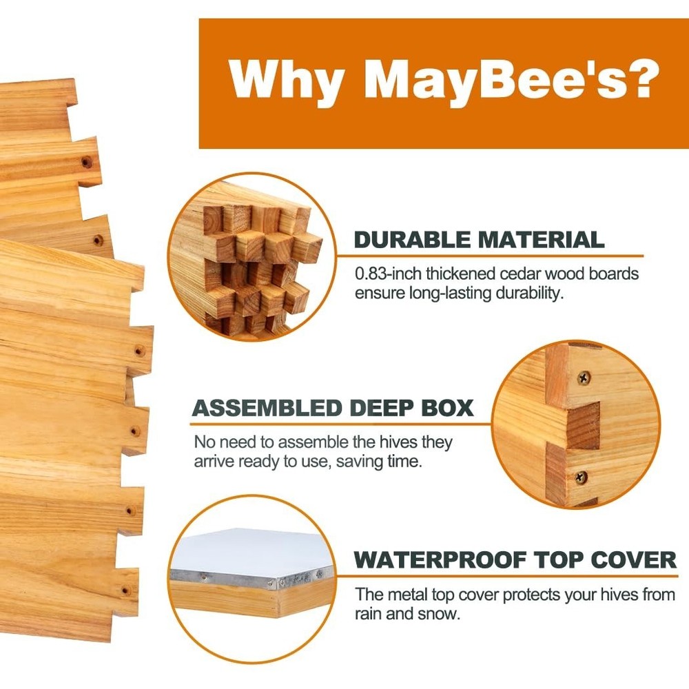 Beehive Kit with Durable Cedarwood Box, Frames, and Essential Beekeeping Gear