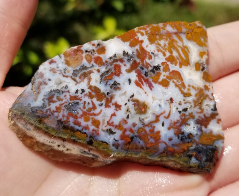 Wingate Pass - Plume Agate - Slab