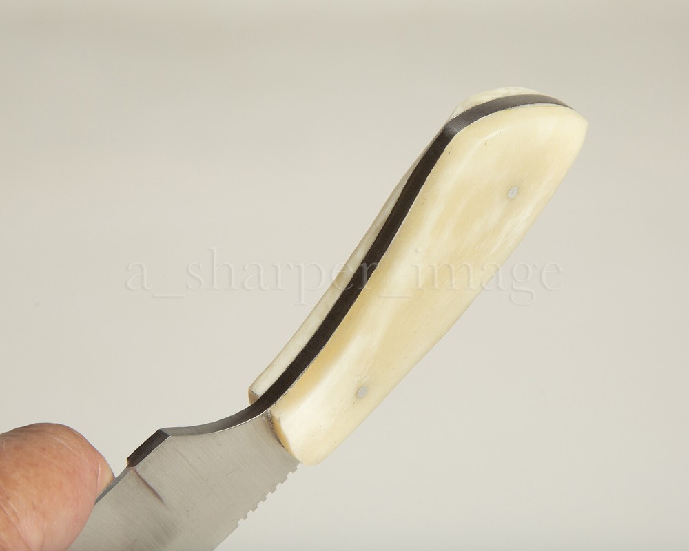 7” Stainless Steel Skinner SHARP Camel Bone Handle + Leather Sheath Rugged