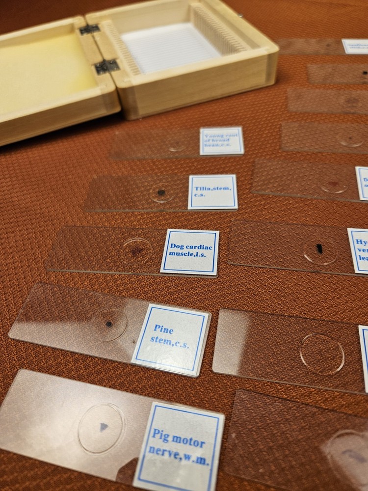 Celestron prepared microscope 25 slide set