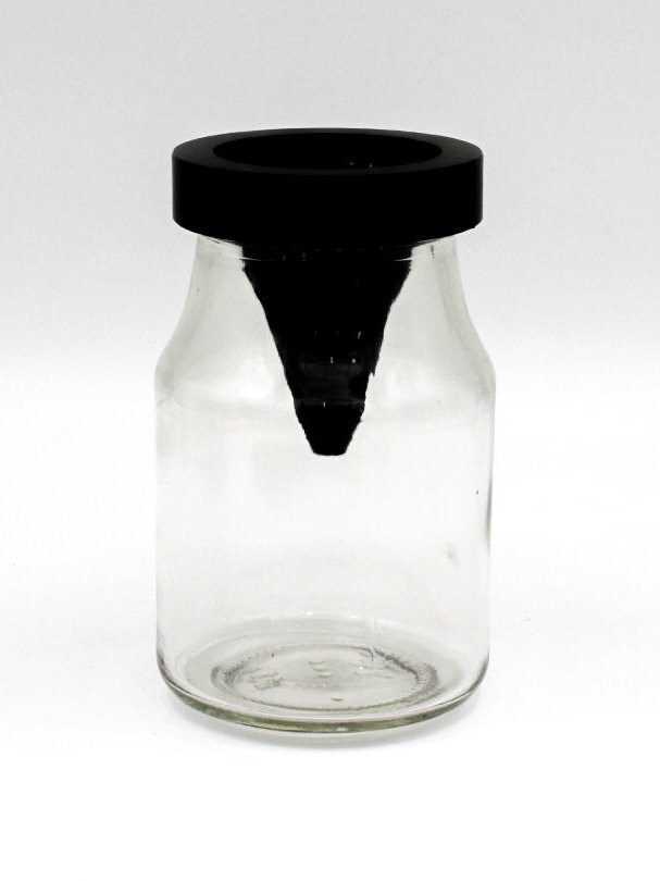 Fruit Fly Trap for any Standard 55mm Opening Mason Jar