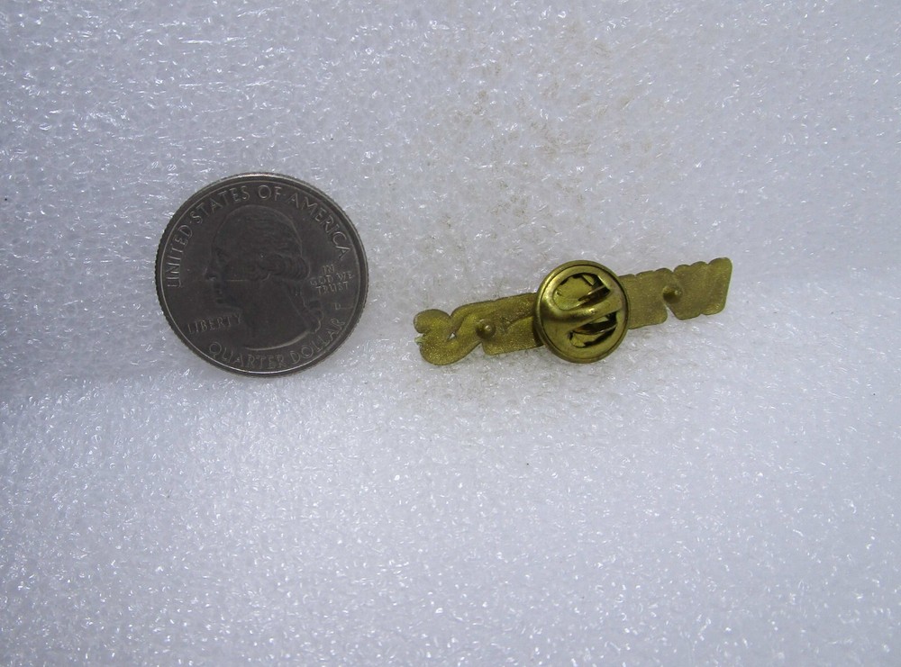 Winners Plastic Pin