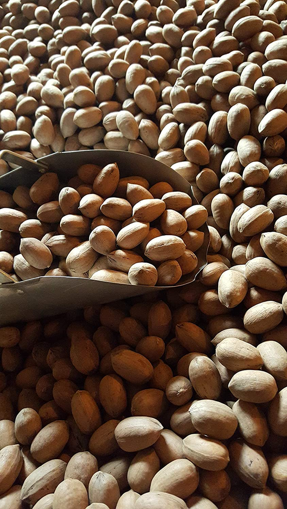 In-Shell Georgia Pecans 5 Lb