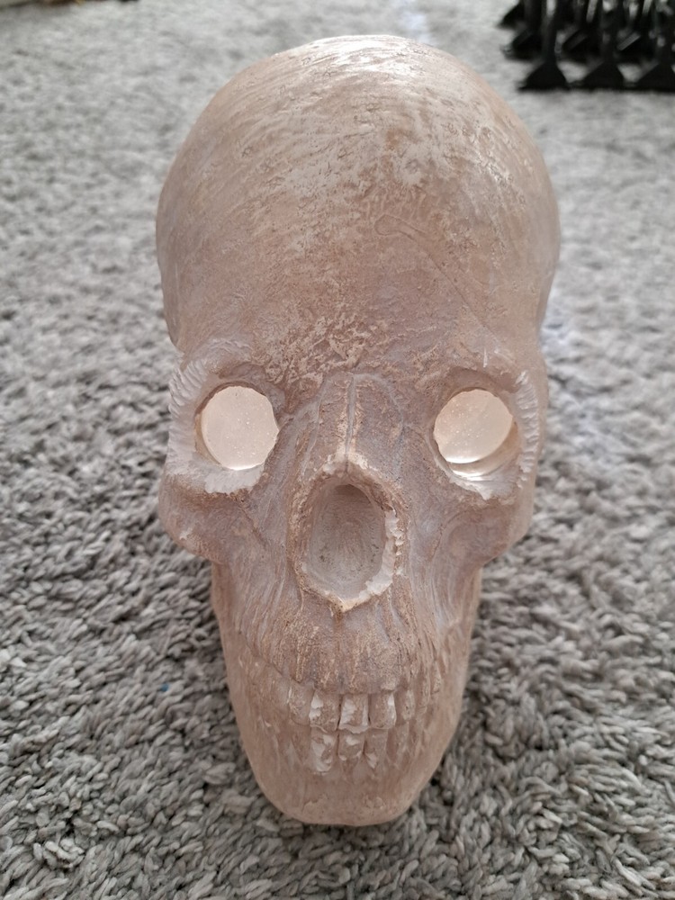 Skull