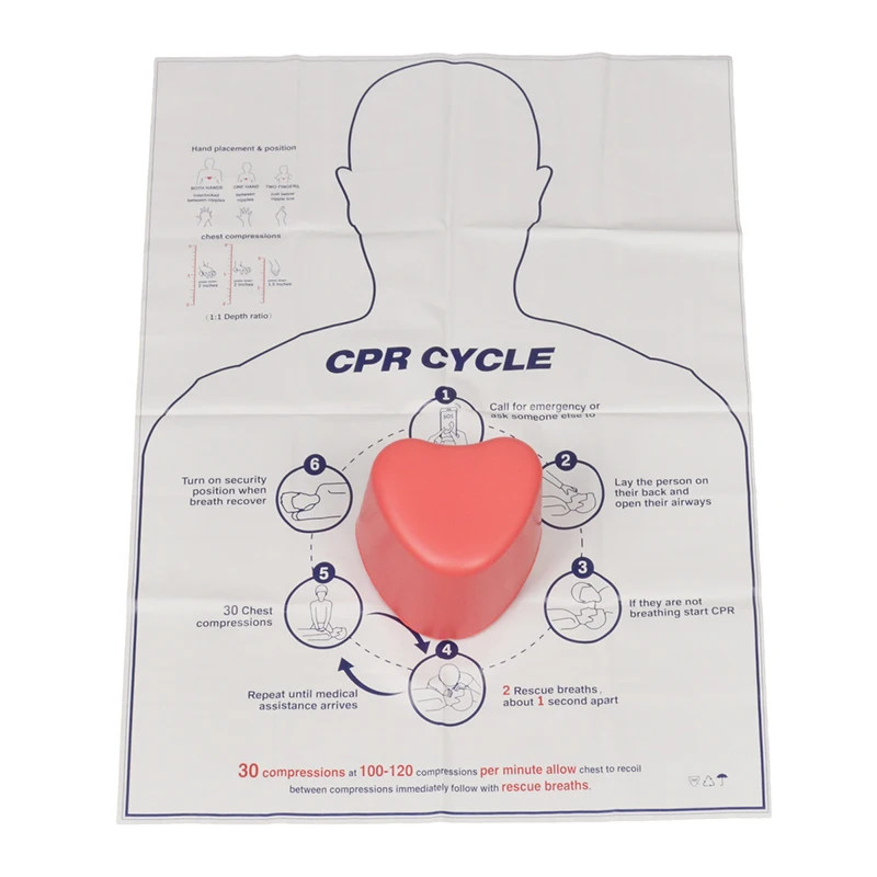 Mini Heart-Shaped First Aid Training Teaching Tool Medical Dummy Training Model