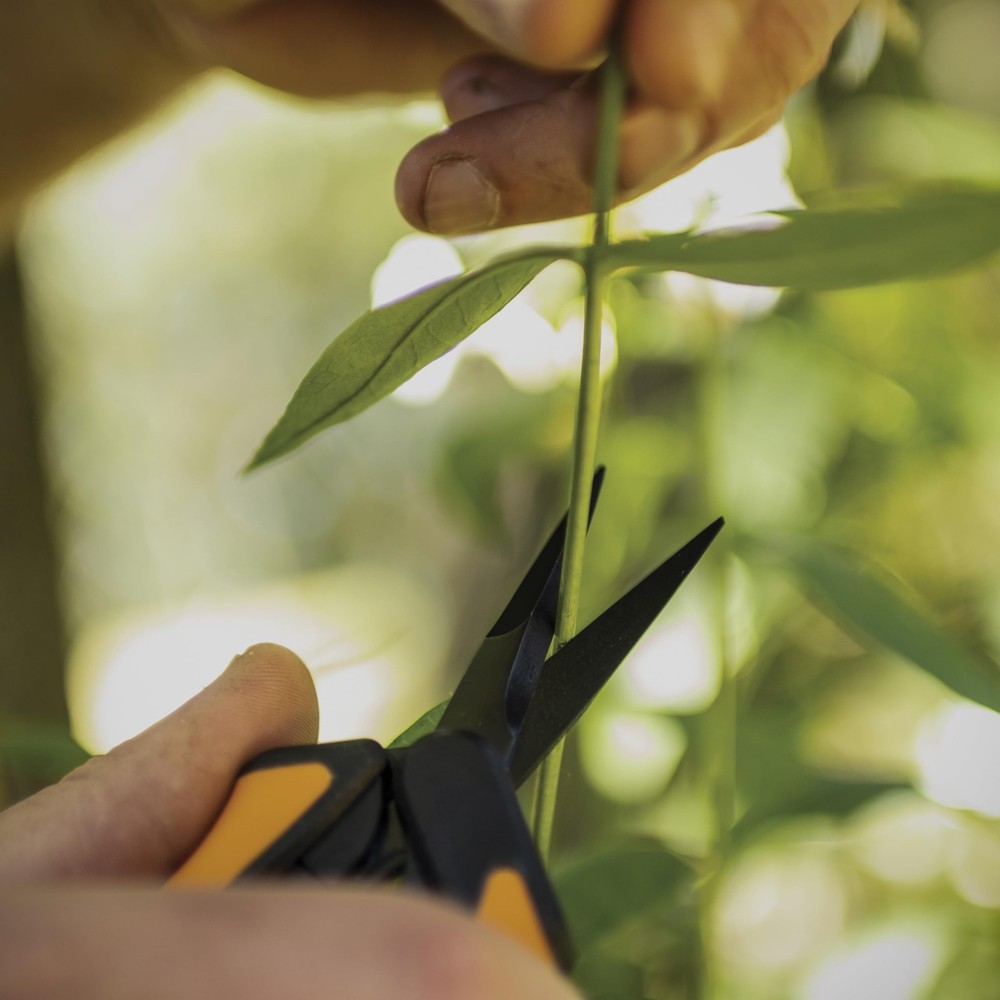 Fiskars 6" Pruning Scissors (2-Pack) Non-Stick Blades 2 Pack Orange, Orange