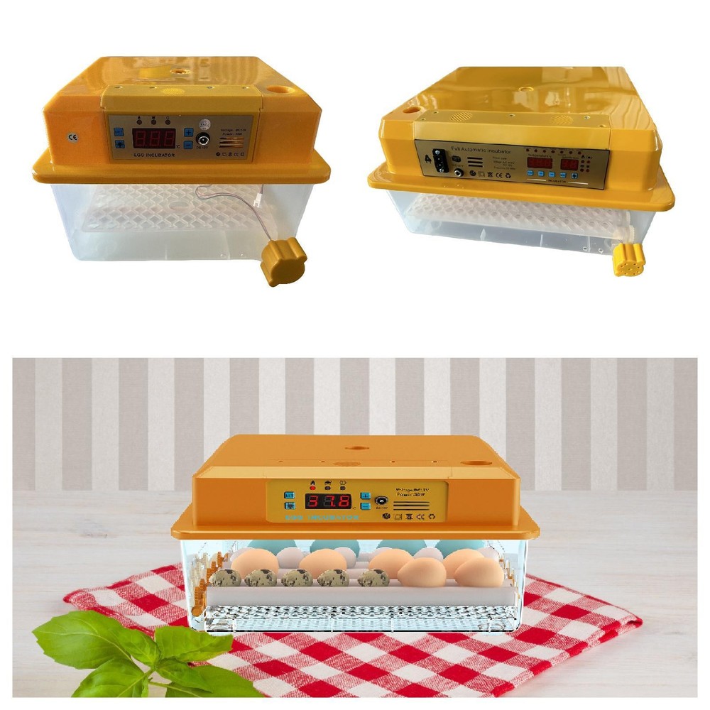 Automatic Egg Incubator Multifunction Automatic Temperature Clear Window