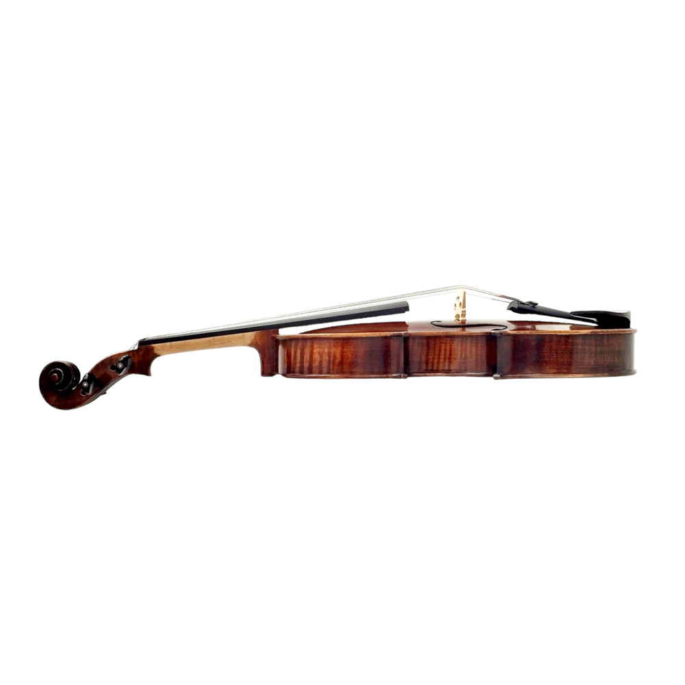 Enraptured Melodies: The AA80 Symphony Viola