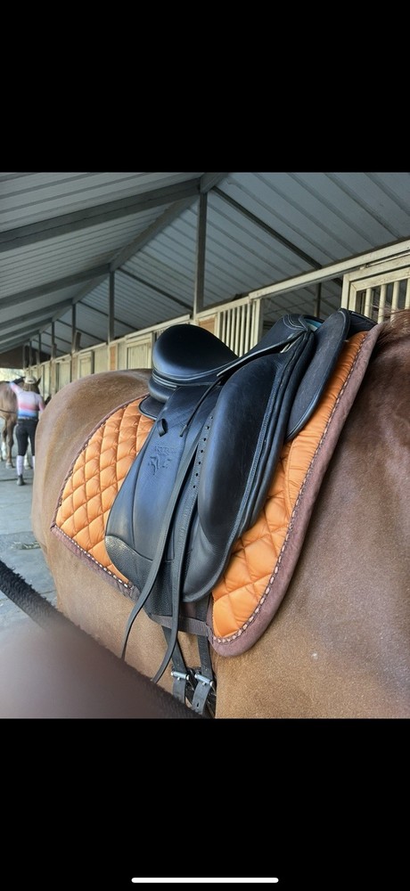 Voltaire Adelaide Dressage Saddle 17.5