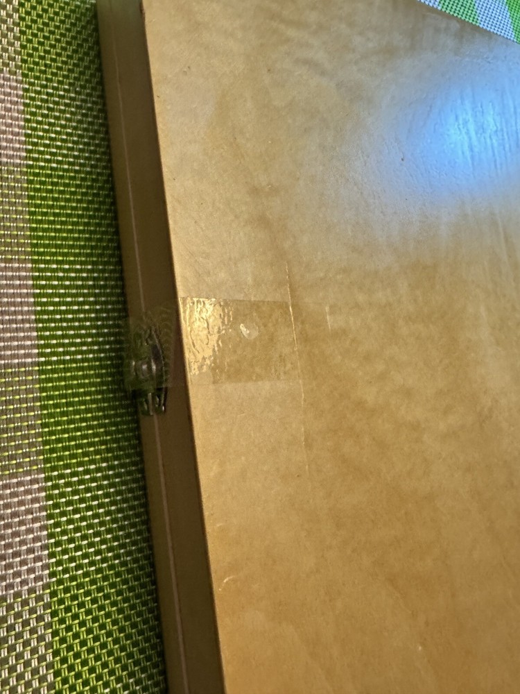 AmScope PS100B 100 PC Prepared Biological Microscope Glass Slides - Set B