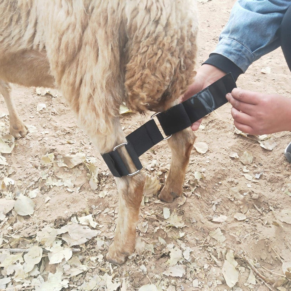 Goat Hobbles Binding Tool for Milking Difficult Goats