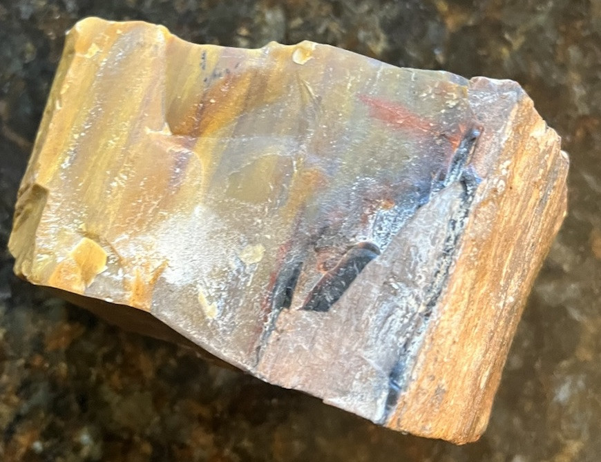 petrified wood rough