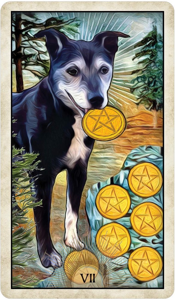 Wise Dog Tarot Card Deck!