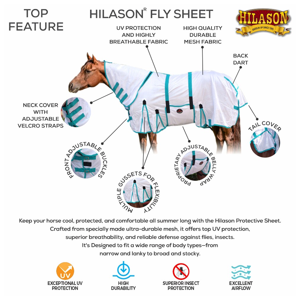 HILASON Horse Fly Sheet UV Protect Breathable Mesh Bug Mosquito Spring | Summer