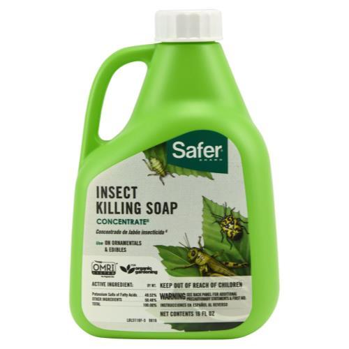 Safer Insect Killing Soap Concentrate 16 oz