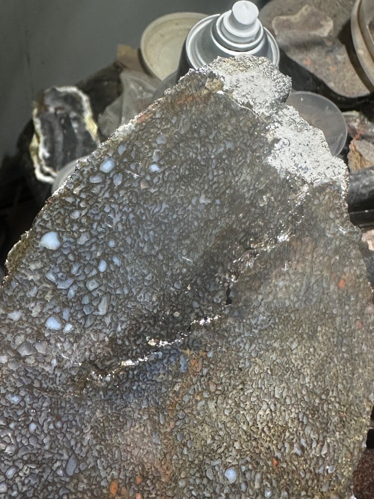 Dinosaur bone rough **hxtled large slab.