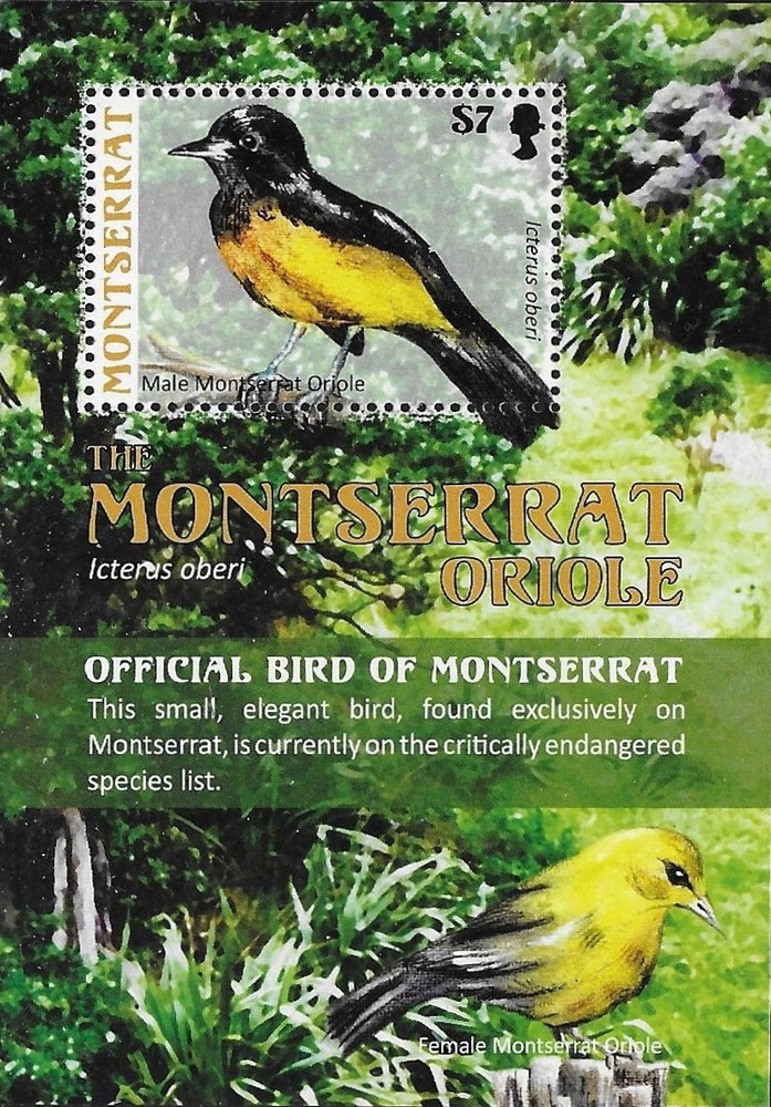 Montserrat Scott #'s 1217 MNH