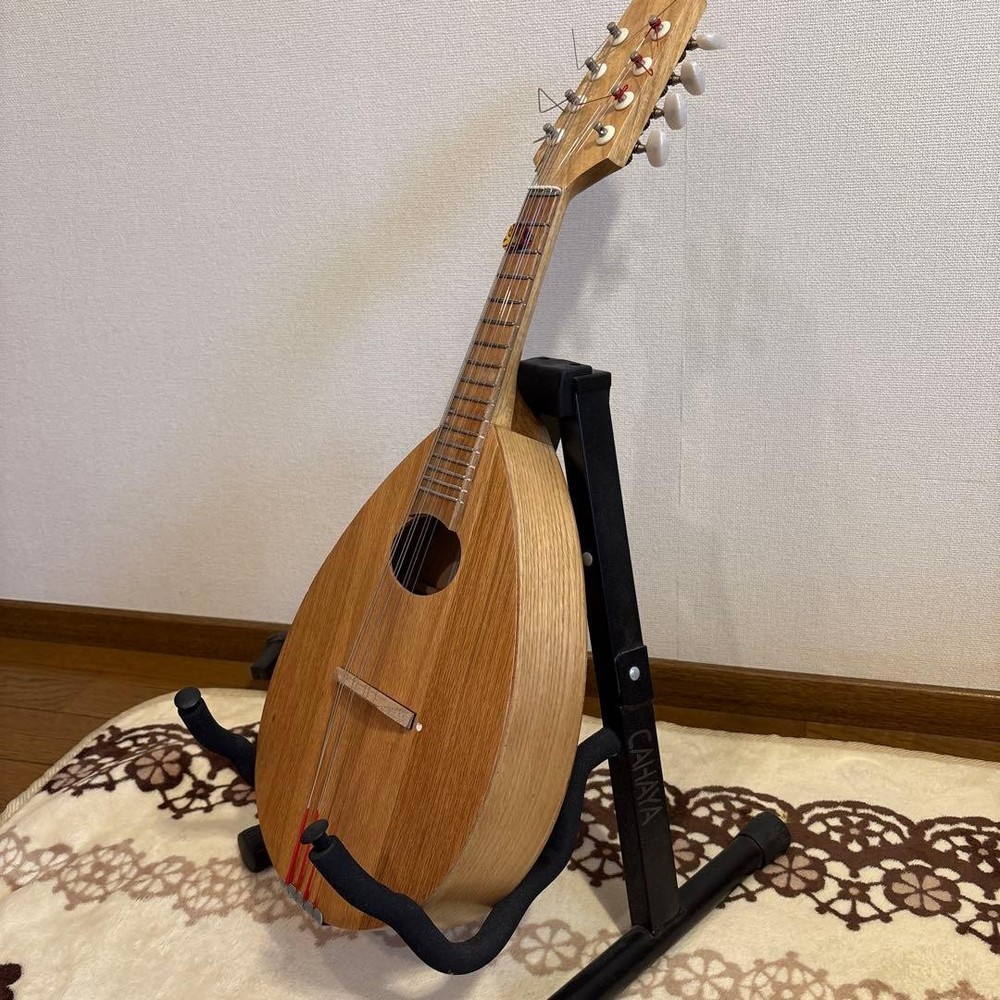 Basiko (flat mandolin) case