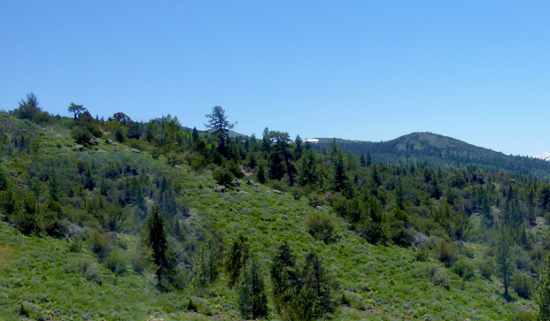 TrainJunkies Sierra Range Model Railroad Backdrop