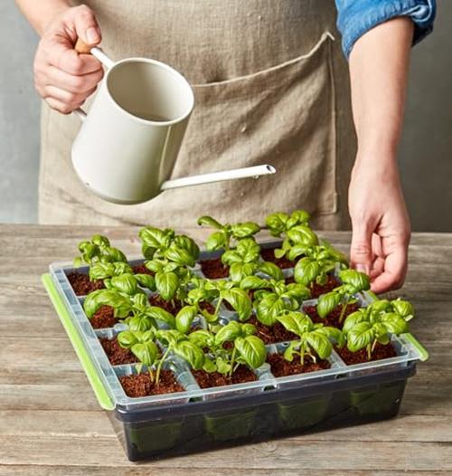 Burpee SuperSeed Seed Starting Tray | 36 Cell Assorted Sizes , Styles