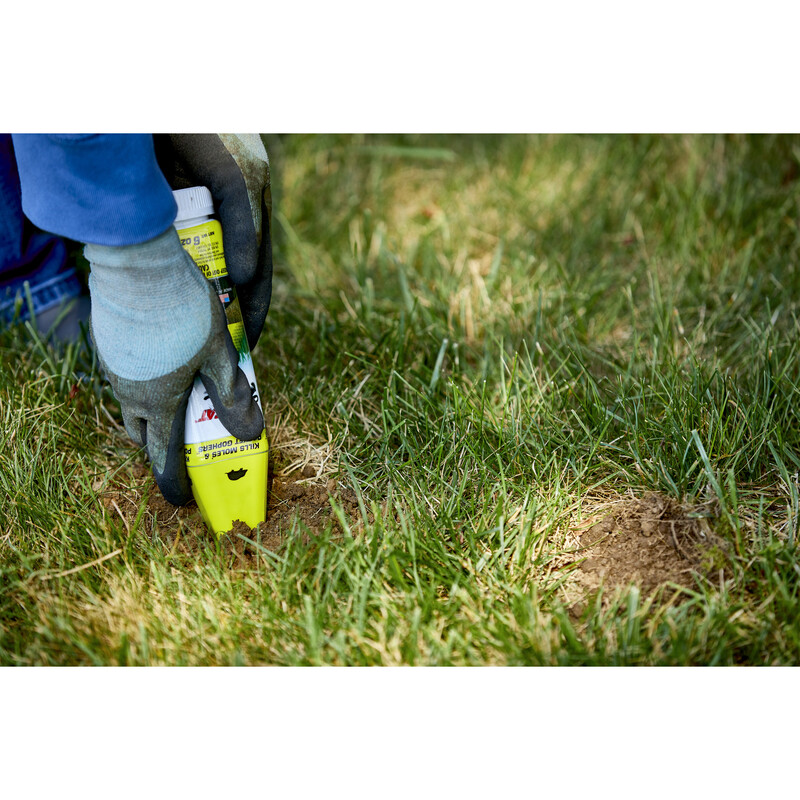 Tomcat 0372210 Mole and Gopher Bait, Garlic, Dark Gray