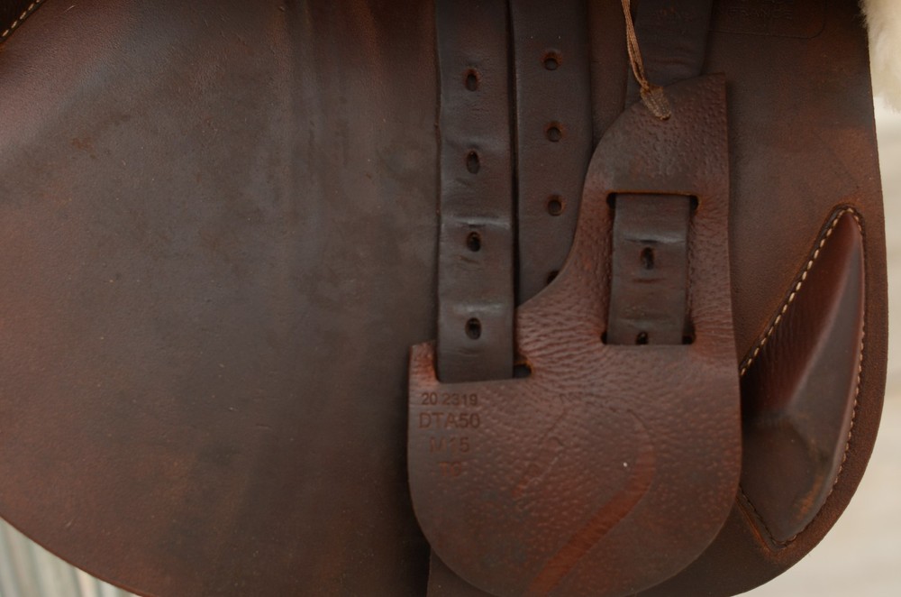 Beautiful 2020 17" Antares Evolution saddle for sale!!