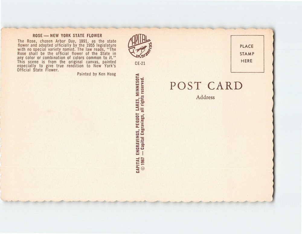 Postcard Rose State Flower USA