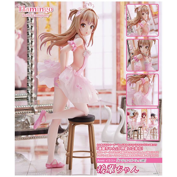 Anmi Illustration Flamingo Ballet Junior