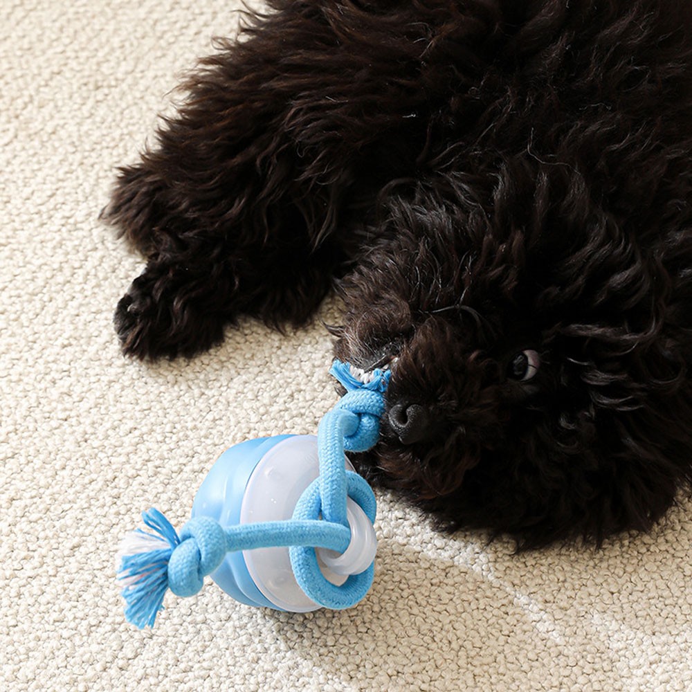 Smart Dog Toys Interactive TeasiKU Ball With Motion Activated Automatic Moving